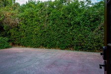 Enlarge photo 133