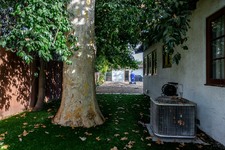 Enlarge photo 151