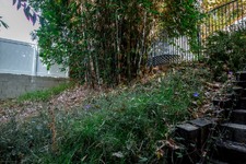 Enlarge photo 155