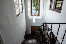 Enlarge photo 65
