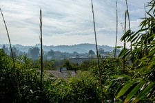 Enlarge photo 80