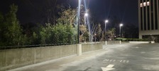 Enlarge photo 83