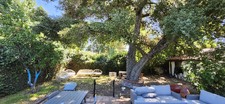 Enlarge photo 53