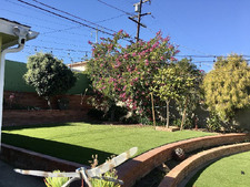 Enlarge photo 58