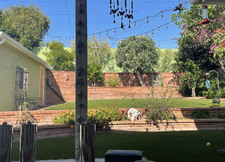 Enlarge photo 59