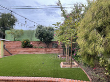 Enlarge photo 61