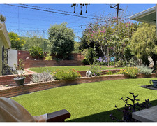 Enlarge photo 63