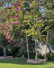 Enlarge photo 65