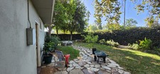 Enlarge photo 51