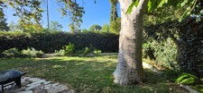 Enlarge photo 61