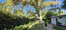 Enlarge photo 52