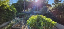 Enlarge photo 56