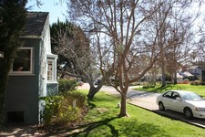 Enlarge photo 7