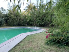 Enlarge photo 31