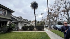 Enlarge photo 28