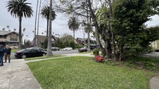 Enlarge photo 32