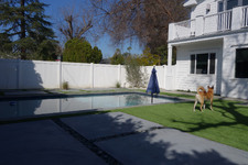 Enlarge photo 81