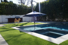 Enlarge photo 84