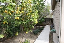 Enlarge photo 59