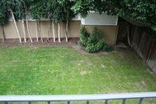 Enlarge photo 47
