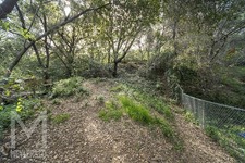 Enlarge photo 106