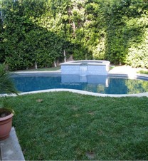 Enlarge photo 44