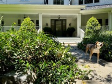 Enlarge photo 9