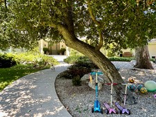 Enlarge photo 17