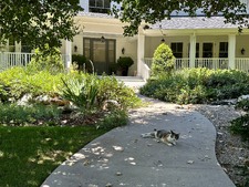 Enlarge photo 19