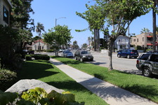 Enlarge photo 43