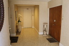 Enlarge photo 65