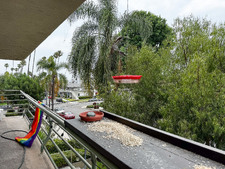Enlarge photo 24