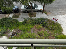 Enlarge photo 25