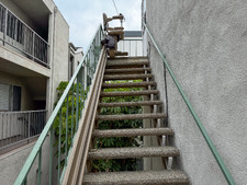 Enlarge photo 26
