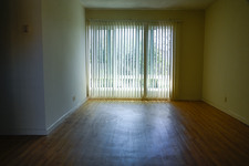 Enlarge photo 37