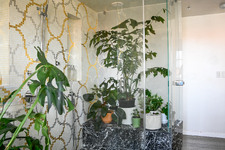 Enlarge photo 64