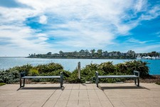 Enlarge photo 60