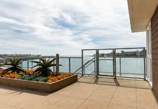 Enlarge photo 71