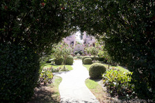 Enlarge photo 7