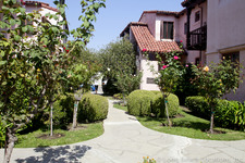 Enlarge photo 11