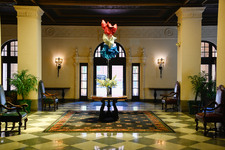 Enlarge photo 41