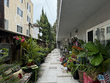 Enlarge photo 24