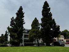 Enlarge photo 29