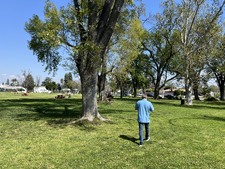 Enlarge photo 13