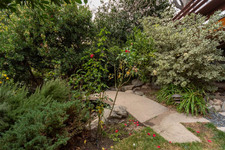 Enlarge photo 77