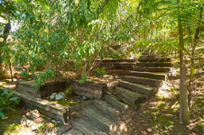 Enlarge photo 75