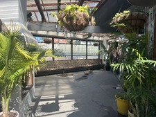 Enlarge photo 51