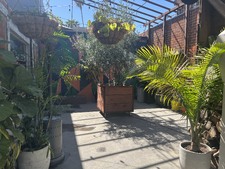 Enlarge photo 52