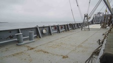 Enlarge photo 51