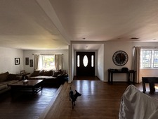 Enlarge photo 63